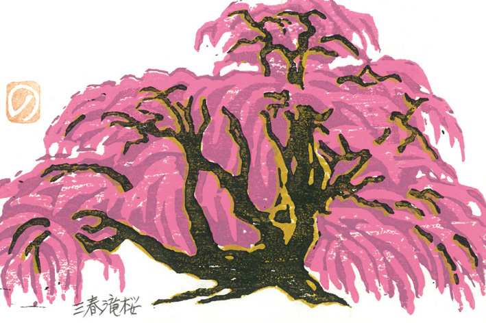 千年の美（三春滝桜）＝2006年